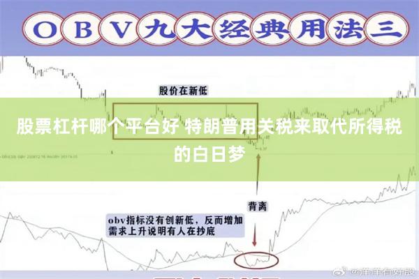 股票杠杆哪个平台好 特朗普用关税来取代所得税的白日梦