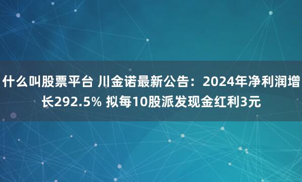 什么叫股票平台 川金诺最新公告：2024年净利润增长292.5% 拟每10股派发现金红利3元