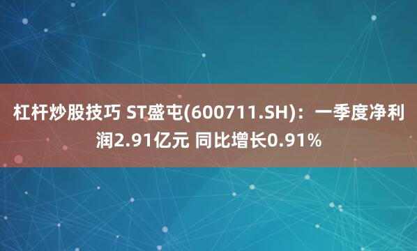 杠杆炒股技巧 ST盛屯(600711.SH)：一季度净利润2.91亿元 同比增长0.91%