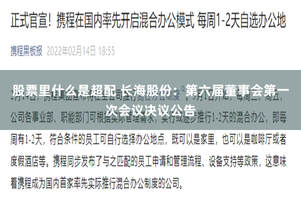 股票里什么是超配 长海股份：第六届董事会第一次会议决议公告