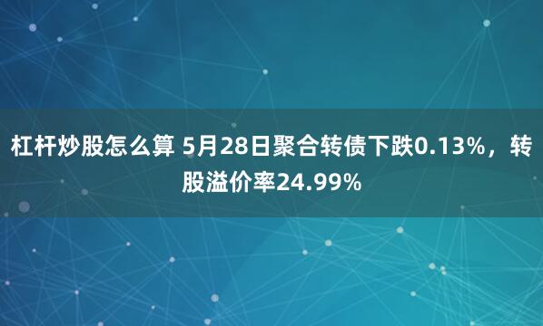 杠杆炒股怎么算 5月28日聚合转债下跌0.13%，转股溢价率24.99%