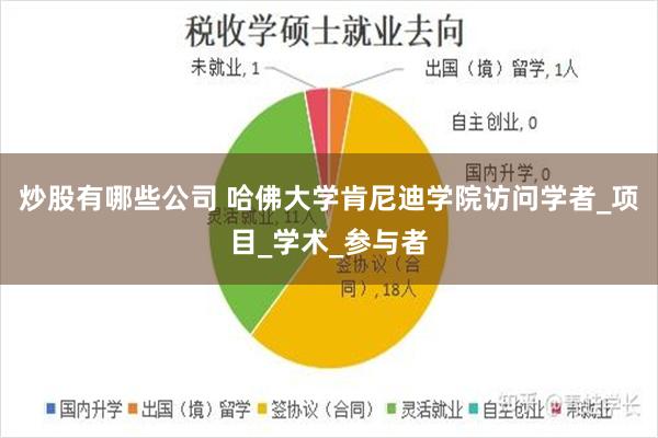 炒股有哪些公司 哈佛大学肯尼迪学院访问学者_项目_学术_参与者