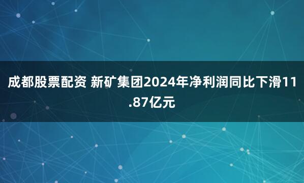 成都股票配资 新矿集团2024年净利润同比下滑11.87亿元